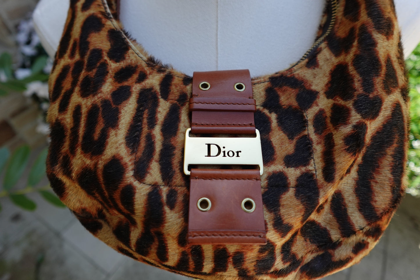 Dior Bag